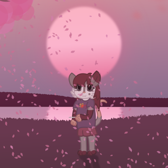 A possum standing in a field, where a cherry blossom is letting it's l... (continued inside the page) 